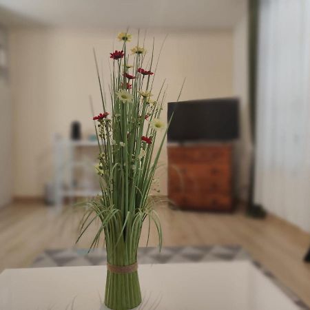 Appartement En Residence 지조르 외부 사진